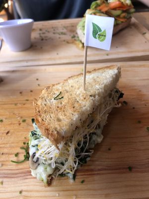 El quedo vegano está delicioso at Jengibre Healthy Food in Metepec