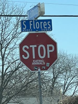 . at HASH - Vegan Eats SA in San Antonio