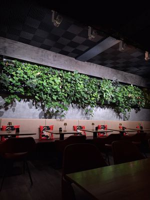  at Soki Garden in Karlsruhe