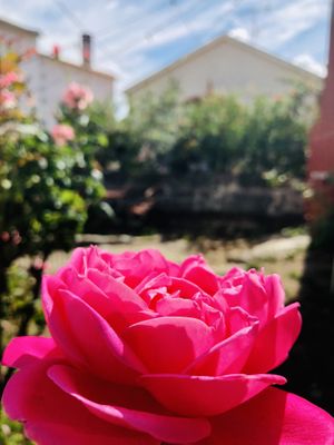 Colours! at O Caldeirão da Bruxa in Vila Cha