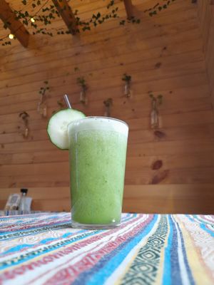  at Vegan Garden in Pucon