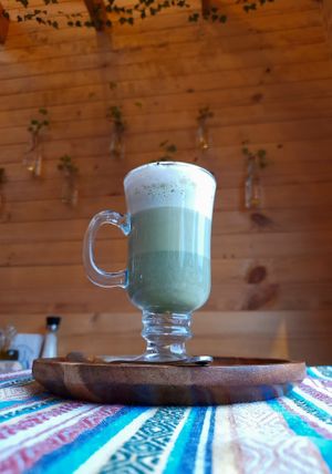  at Vegan Garden in Pucon