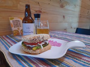  at Vegan Garden in Pucon