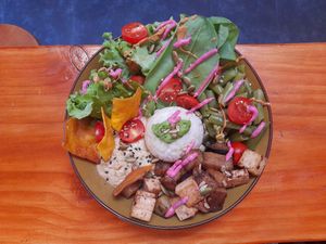  at Vegan Garden in Pucon