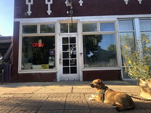 Storefront with dog  at Whittier Cafe in Denver