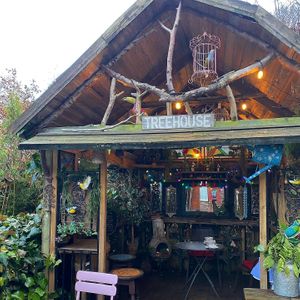  #Veganuary at Mimosa Tea Garden in Birkenhead