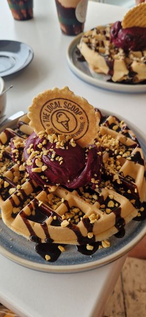 Vegan waffle with chocolate sauce, honeycomb and blackcurrant amd cherry gelato. at The Local Scoop in Dawlish