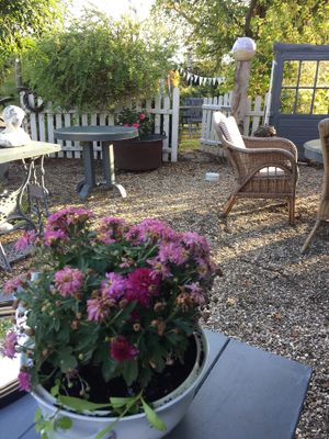 Outdoor seating.  at Kunstliebhaberei - Das Kleine Café in Ludersfeld