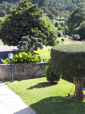 garden at Garden Cottage in Povoa De Lanhoso