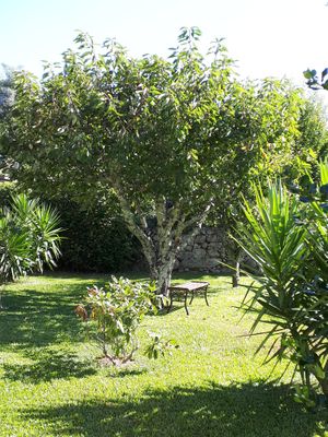 Peacefull at Garden Cottage in Povoa De Lanhoso