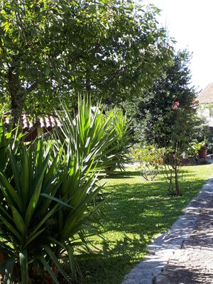 Garden at Garden Cottage in Povoa De Lanhoso