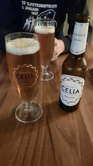 Organic gluten free beer at Dren in Skopje
