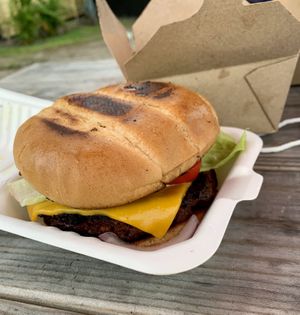 All-American burger! at V's Diner in Casselberry