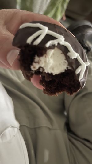  #Veganuary at V's Diner in Casselberry