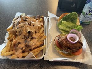 The cheese steak fries were amazing! The chicken sandwich was not for me.  at V's Diner in Casselberry