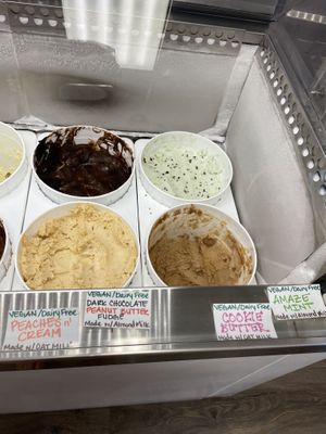 All vegan options available this day  at Venice Avenue Creamery in Venice