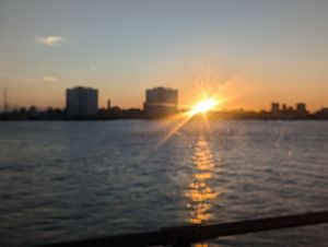  at The Still & West Old Portsmouth in Portsmouth