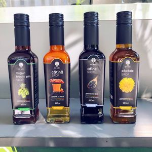 Cold pressed seasonal syrup  at V Square Burger in Ramnicu Valcea