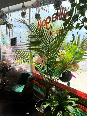 The Billie Gold bubble tea lounge - atmosphere inside   at Billie Gold Bubble Tea in Dayton