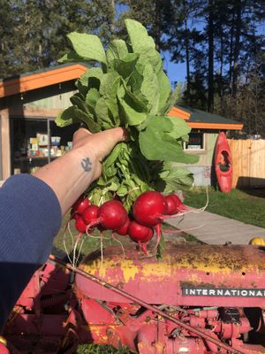 Local. Organic. Fresh. at Max's in Bigfork