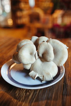Mushrooms! at Max's in Bigfork