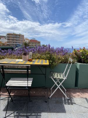 Lovely setting   at La Marmota in La Palma