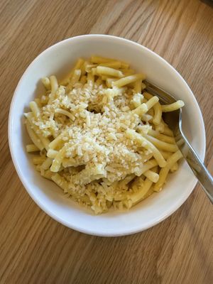   at Tolstoy in Vienna