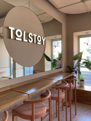   at Tolstoy in Vienna