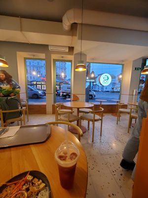  at Tolstoy in Vienna