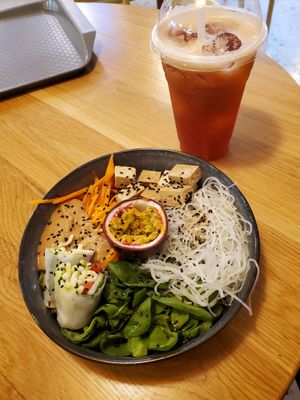  at Tolstoy in Vienna