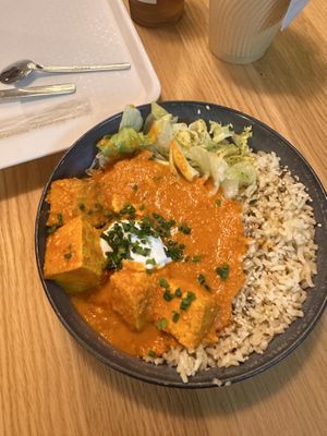   at Tolstoy in Vienna