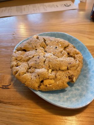   at Tolstoy in Vienna