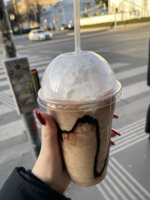   at Tolstoy in Vienna