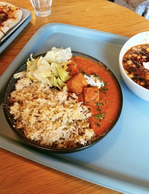 Tofu curry hot dish  #Veganuary at Tolstoy in Vienna