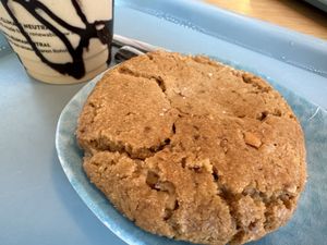 cookie  at Tolstoy in Vienna