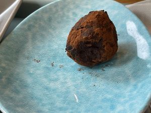   at Tolstoy in Vienna