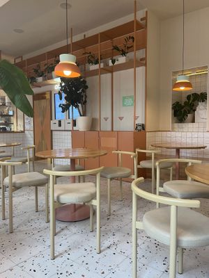   at Tolstoy in Vienna