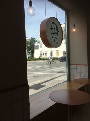 The man at Tolstoy in Vienna