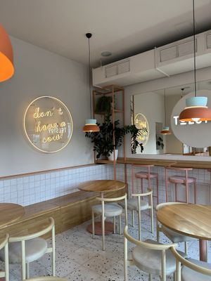   at Tolstoy in Vienna