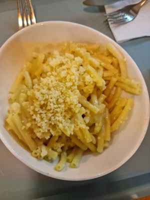  at Tolstoy in Vienna