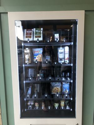   at Tolstoy in Vienna