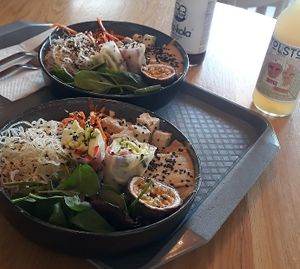  at Tolstoy in Vienna