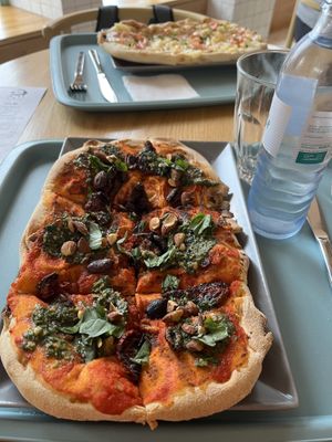   at Tolstoy in Vienna