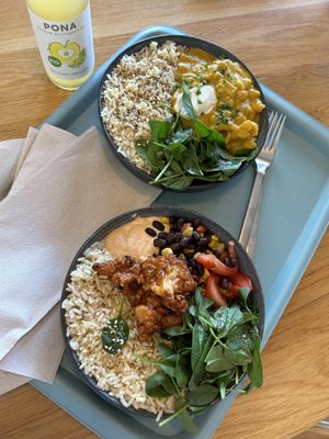   at Tolstoy in Vienna