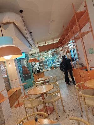  at Tolstoy in Vienna