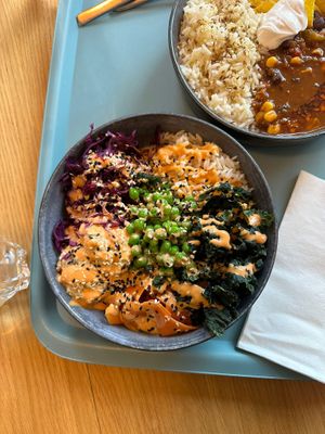  at Tolstoy in Vienna