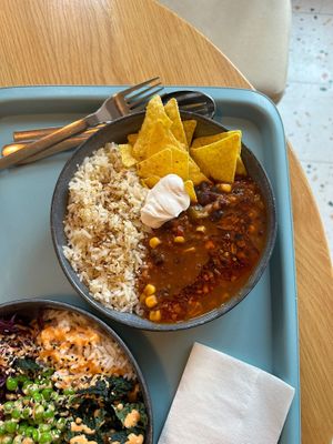  at Tolstoy in Vienna