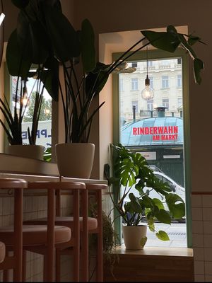   at Tolstoy in Vienna