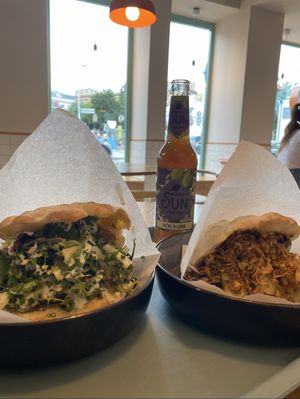   at Tolstoy in Vienna