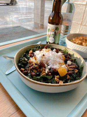 freshly  at Tolstoy in Vienna